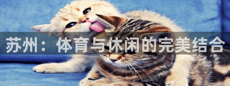 意昂体育4官方客服电话：苏州：体育与休闲的完美结合