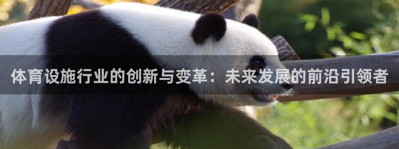 意昂4娱乐40996：体育设施行业的创新与变革：未来发展的前