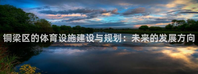 德国意昂4集团：铜梁区的体育设施建设与规划：未来的发