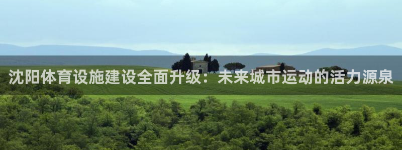 意昂4集团：沈阳体育设施建设全面升级：未来城市运动的
