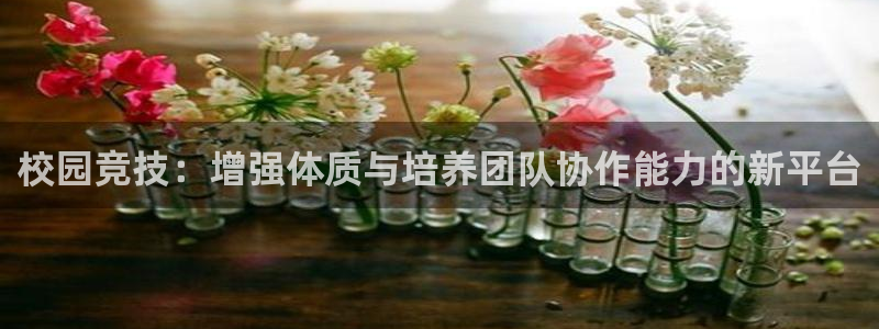 意昂4集团：校园竞技：增强体质与培养团队协作能力的新