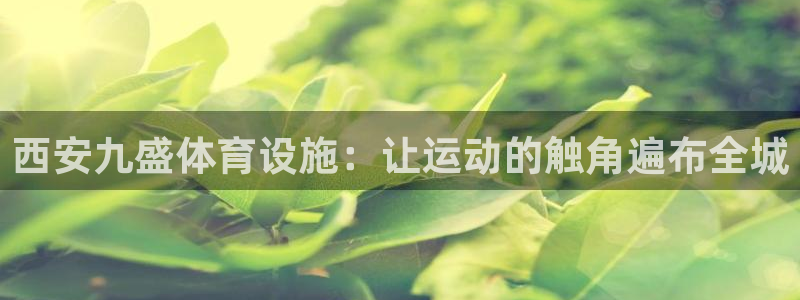 意昂体育4平台注册要钱吗：西安九盛体育设施：让运动的