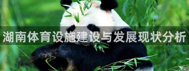 意昂体育4开户：湖南体育设施建设与发展现状分析