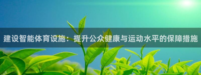 意昂体育4软件：建设智能体育设施：提升公众健康与运动水平的保 