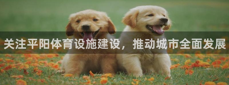 意昂4娱乐是那个系列的台子：关注平阳体育设施建设，推动城市全