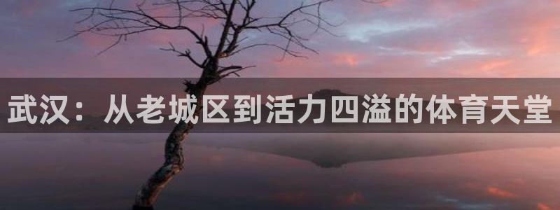 意昂体育4开户：武汉：从老城区到活力四溢的体育天堂