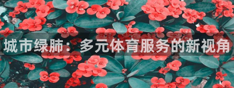 意昂4娱乐下载：城市绿肺：多元体育服务的新视角