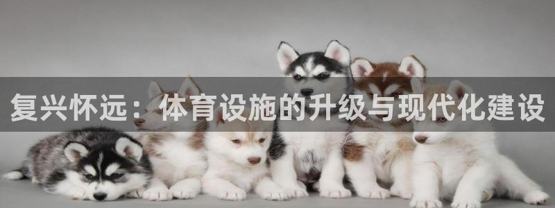 意昂体育4平台注册：复兴怀远：体育设施的升级与现代化