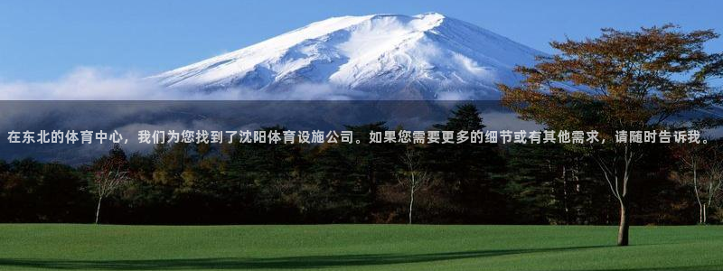 意昂4集团官网首页：在东北的体育中心，我们为您找到了沈阳体育