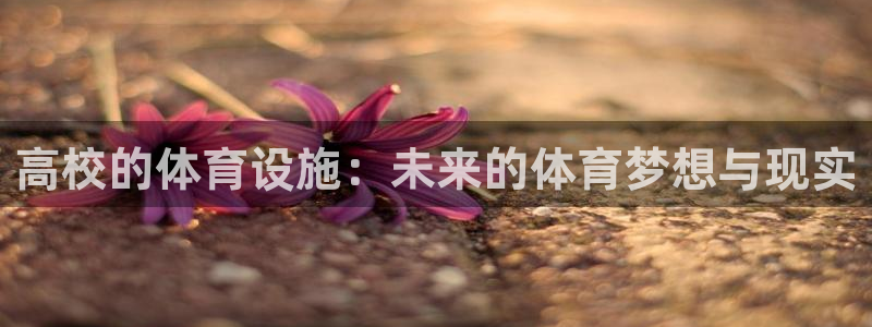 意昂平台体育：高校的体育设施：未来的体育梦想与现实 