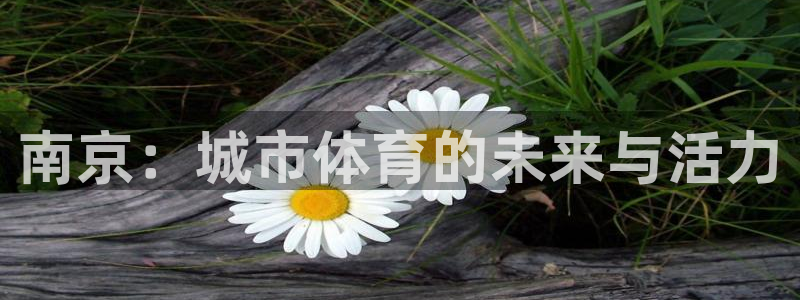 意昂4娱乐下载：南京：城市体育的未来与活力