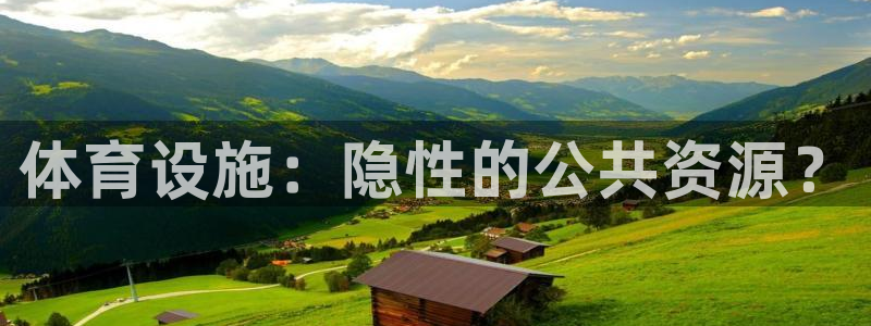 意昂体育4：体育设施：隐性的公共资源？