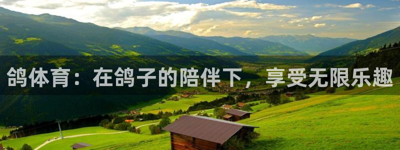 意昂4五金厂：鸽体育：在鸽子的陪伴下，享受无限乐趣