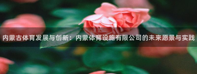 意昂4神州：内蒙古体育发展与创新：内蒙体育设施有限公