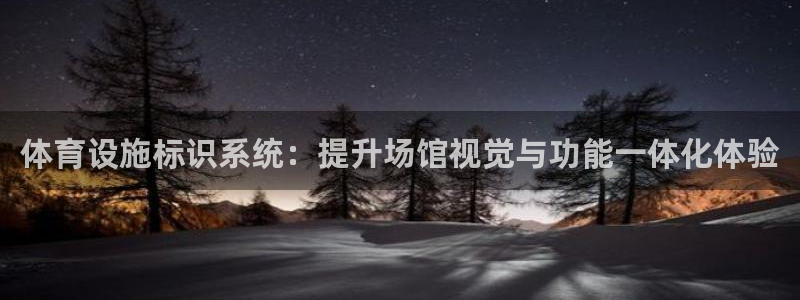 意昂体育4平台是正规平台吗：体育设施标识系统：提升场