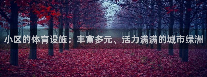 意昂体育4是干嘛的公司：小区的体育设施：丰富多元、活