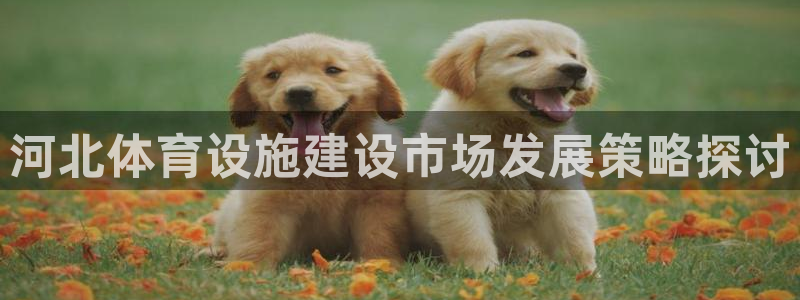 意昂4神州：河北体育设施建设市场发展策略探讨