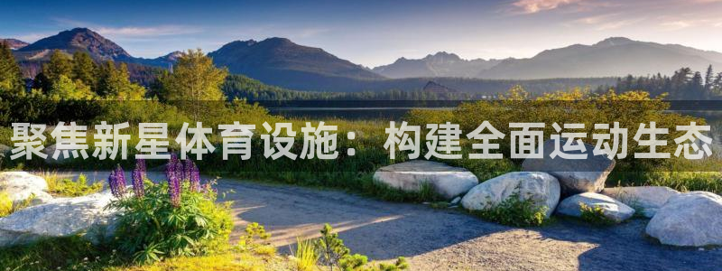 意昂4官网：聚焦新星体育设施：构建全面运动生态