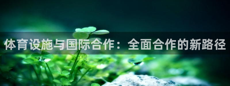 意昂体育4平台注册要钱吗：体育设施与国际合作：全面合