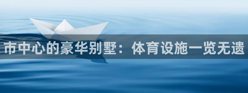 意昂体育4招商电话：市中心的豪华别墅：体育设施一览无