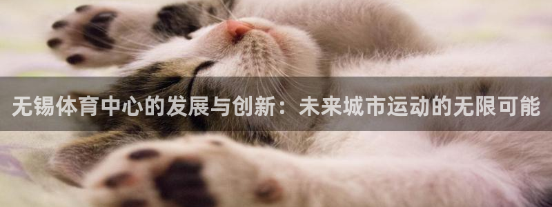 意昂4娱乐40996：无锡体育中心的发展与创新：未来