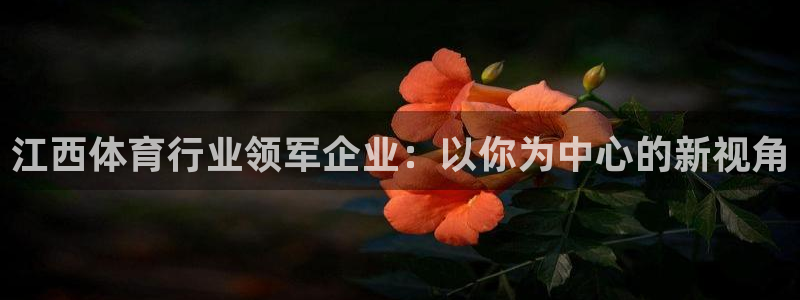 意昂4集团简介：江西体育行业领军企业：以你为中心的新