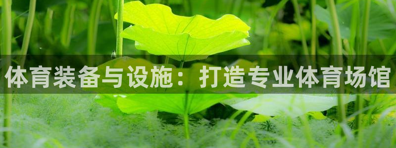 意昂4集团logo：体育装备与设施：打造专业体育场馆