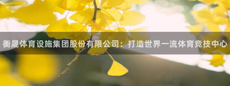 意昂体育4平台假的吗是真的吗：衡晟体育设施集团股份有
