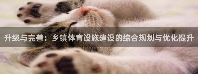 意昂体育4平台注册流程视频：升级与完善：乡镇体育设施