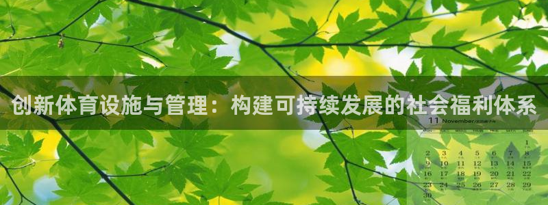 意昂体育4平台注册：创新体育设施与管理：构建可持续发