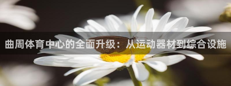 意昂体育4平台：曲周体育中心的全面升级：从运动器材到