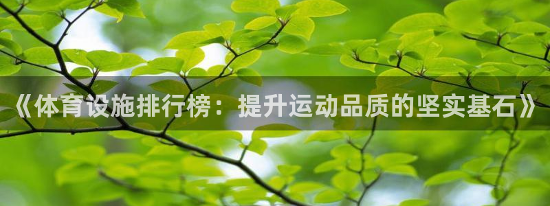 意昂4娱乐网站：《体育设施排行榜：提升运动品质的坚实