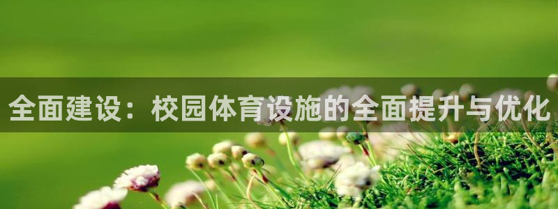 意昂4五金厂：全面建设：校园体育设施的全面提升与优化
