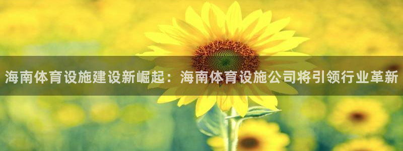 意昂4开户：海南体育设施建设新崛起：海南体育设施公司