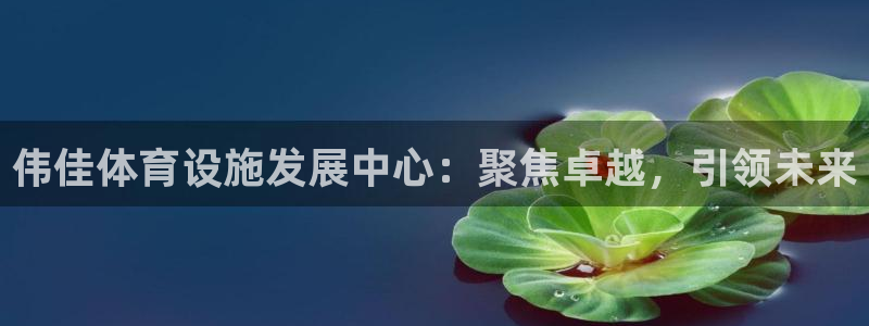 意昂体育4招商电话是多少啊：伟佳体育设施发展中心：聚