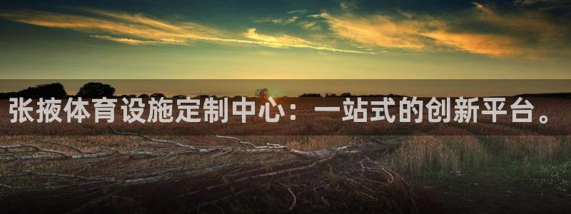 意昂体育4平台：张掖体育设施定制中心：一站式的创新平