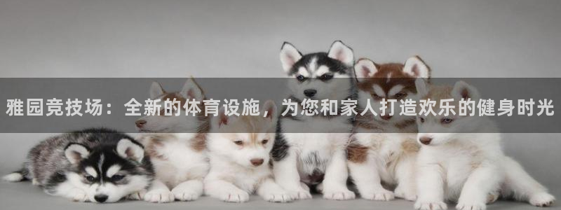 意昂4娱乐首页官网下载：雅园竞技场：全新的体育设施，为您和家